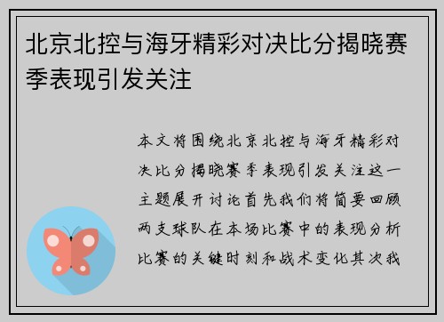 北京北控与海牙精彩对决比分揭晓赛季表现引发关注